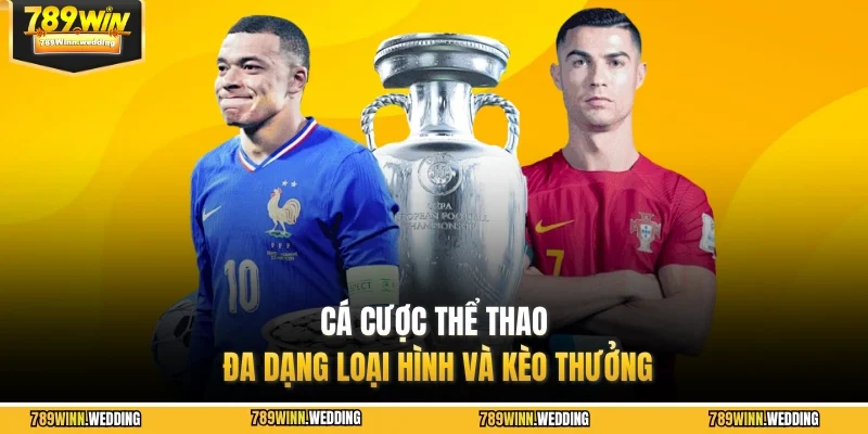 Cá cược thể thao đa dạng loại hình và kèo thưởng 