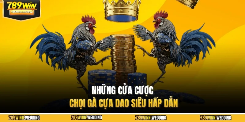 Những cửa cược chọi gà cựa dao siêu hấp dẫn