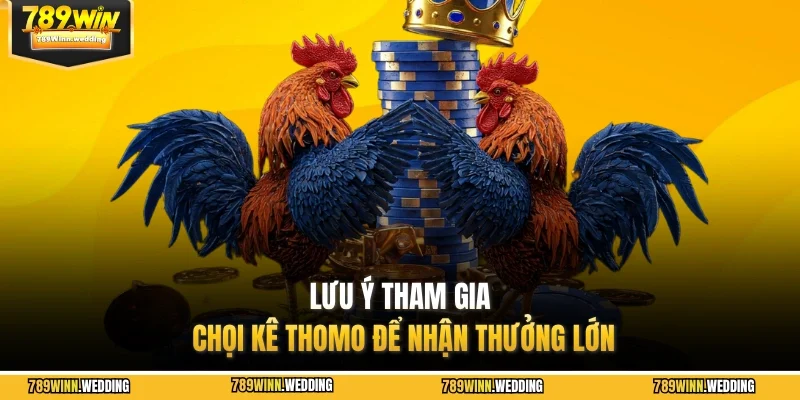 Lưu ý tham gia chọi kê Thomo để nhận thưởng lớn