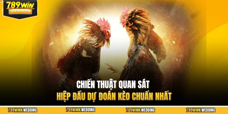 Chiến thuật quan sát hiệp đầu dự đoán kèo chuẩn nhất