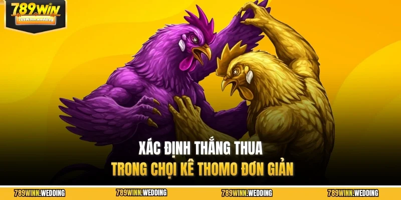 Xác định thắng thua trong chọi kê Thomo đơn giản