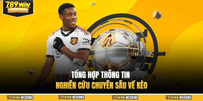 Tổng hợp thông tin nghiên cứu chuyên sâu về kèo