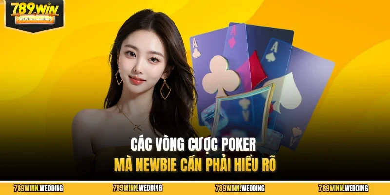 Các vòng cược Poker mà newbie cần phải hiểu rõ