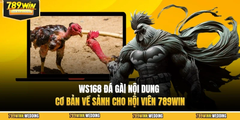 WS168 đá gà