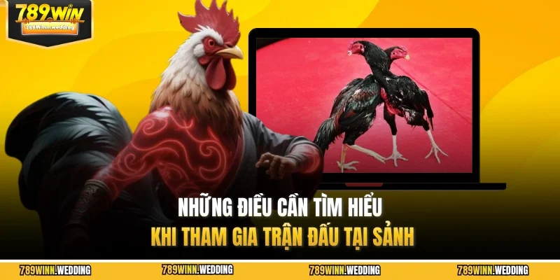 Những điều cần tìm hiểu khi tham gia trận đấu tại sảnh