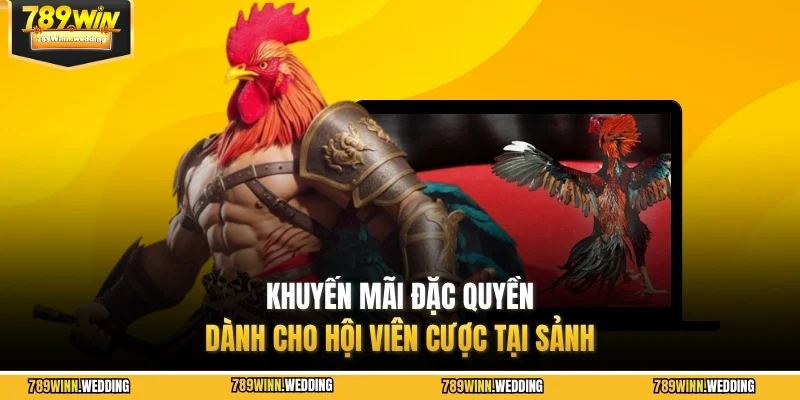 Khuyến mãi đặc quyền dành cho hội viên cược tại sảnh